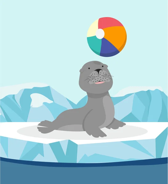 Seal Cute Sea Animal Ice Floe Ball — Stock Vector