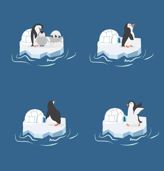 Pinguins Pedaço Iceberg Set —  Vetores de Stock