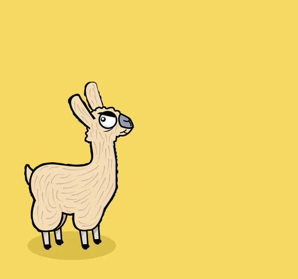 Mignon Lama Drole Animal Caractere C Est Drole Stock Photo