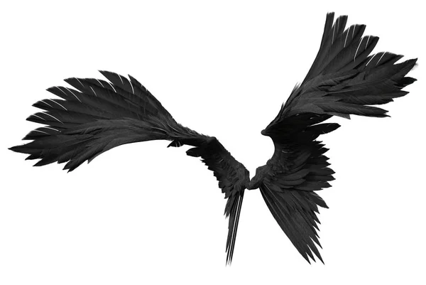 Rendered Fantasy Angel Wings White Background Illustration — 스톡 사진