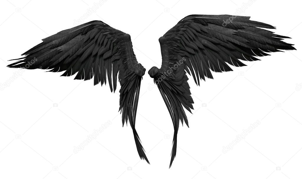 3D Rendered Fantasy Angel Wings on White Background - 3D Illustration