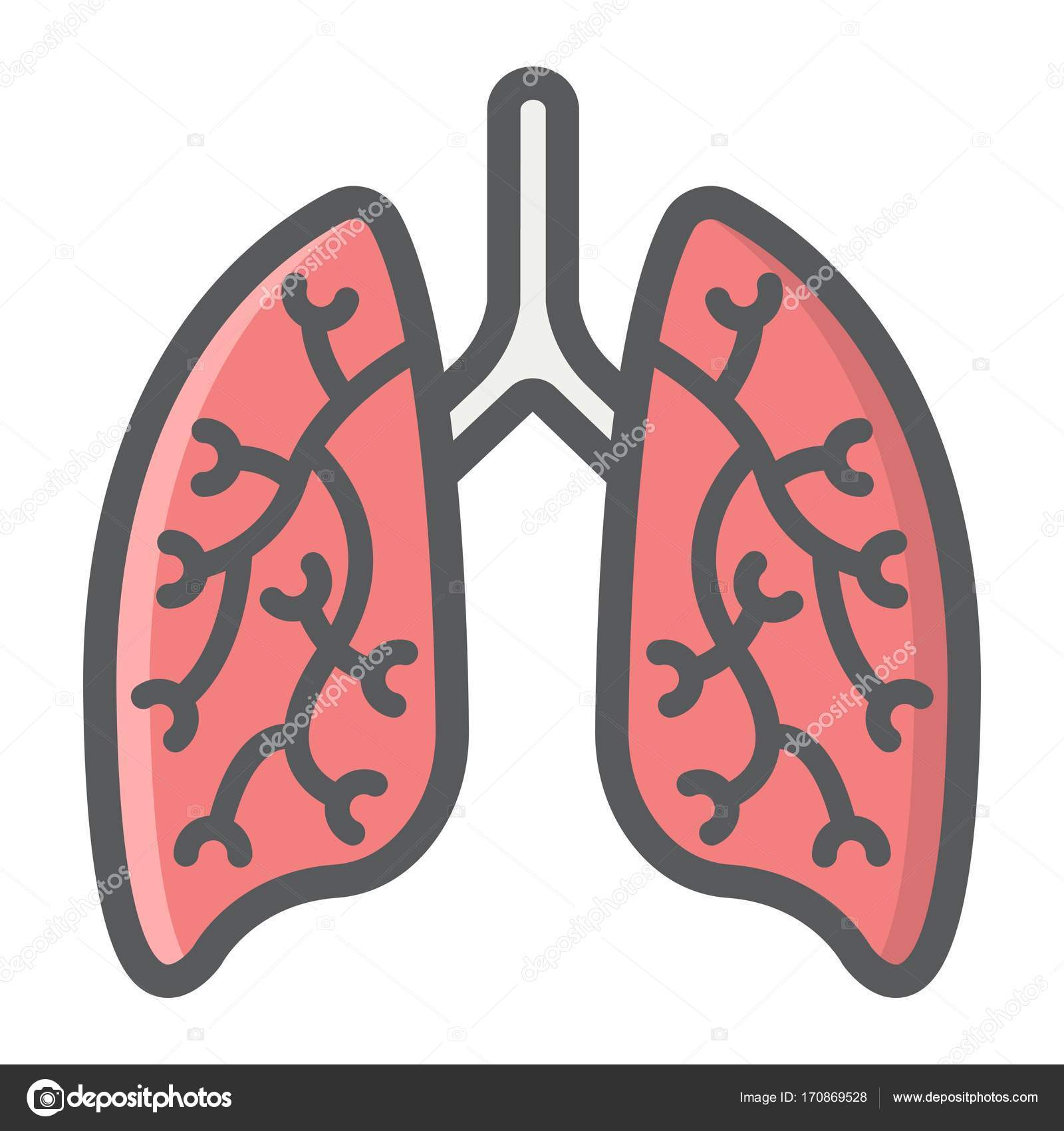 肺部填充轮廓图标、 医学和保健图库矢量图©amin268 170869528
