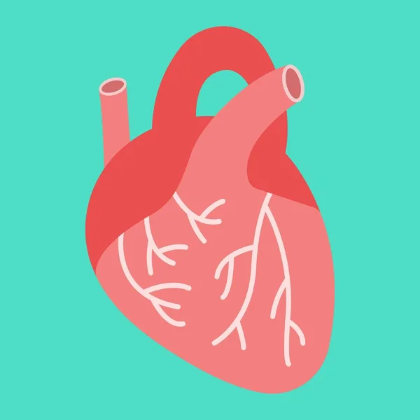 Icône plate cœur humain, médecine et soins de santé — Image vectorielle