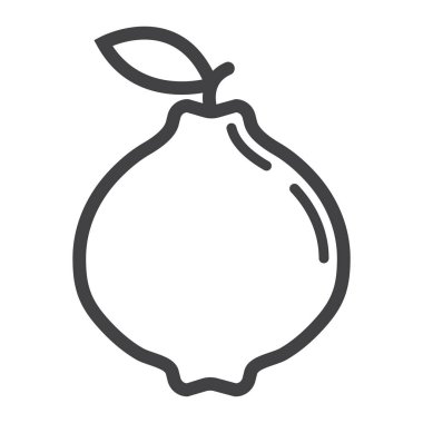 Ayva satırı simgesi, meyve ve diyet