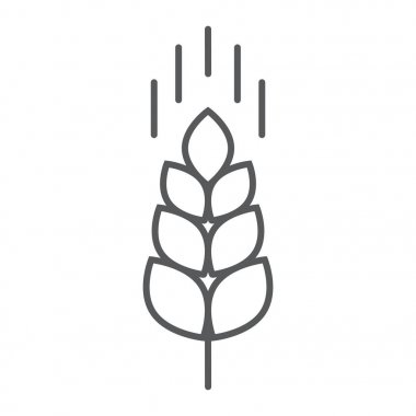 Buğday kulak ince çizgi simgesi, tarım ve tarım, tahıl işareti vektör grafikleri, doğrusal model beyaz bir arka planda eps 10.