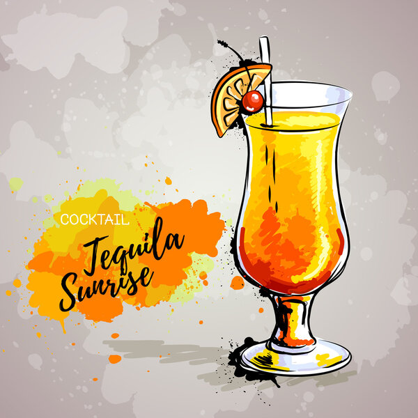 Hand drawn illustration of cocktail tequila sunrise.