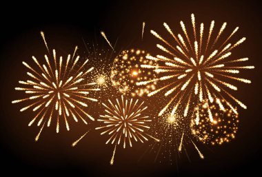 Vektör tatil havai fişek. Bağımsızlık günü