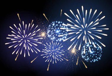 Vektör tatil havai fişek. Bağımsızlık günü