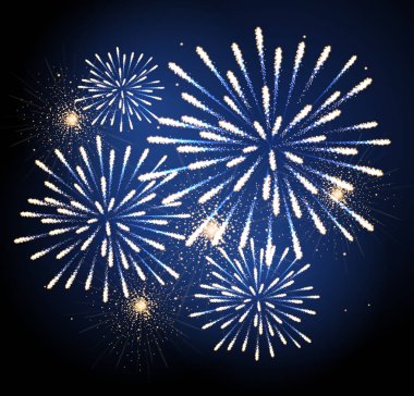 Vektör tatil havai fişek. Bağımsızlık günü