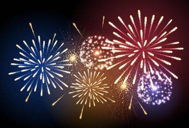 Vektör tatil havai fişek. Bağımsızlık günü