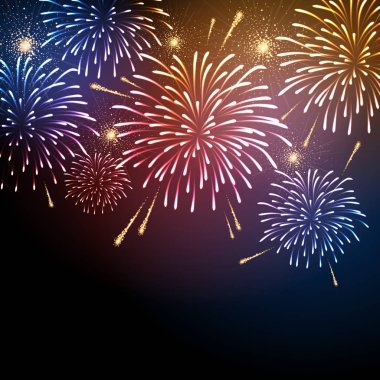 Vektör tatil havai fişek. Bağımsızlık günü