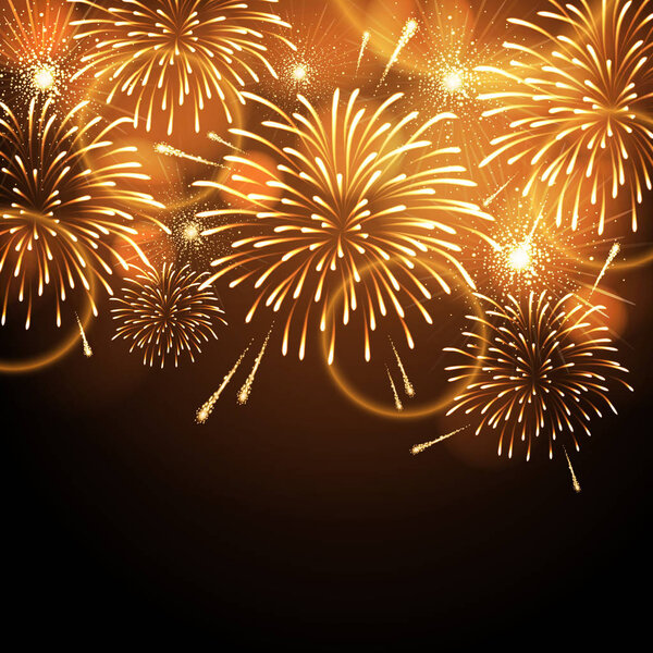 Векторный праздничный фейерверк. День независимости

