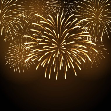 Vektör tatil havai fişek. Bağımsızlık günü