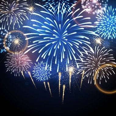 Vektör tatil havai fişek. Bağımsızlık günü