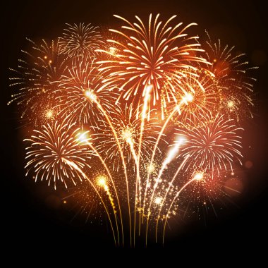 Vektör tatil havai fişek. Bağımsızlık günü