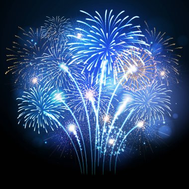 Vektör tatil havai fişek. Bağımsızlık günü