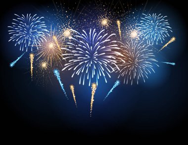 Vektör tatil havai fişek. Bağımsızlık günü