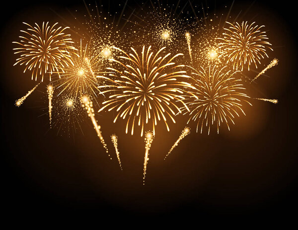 Векторный праздничный фейерверк. День независимости

