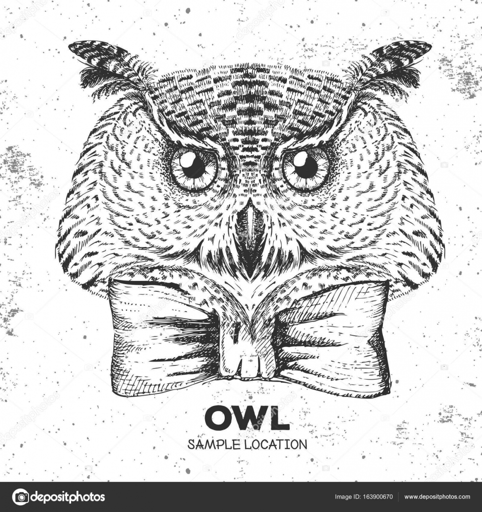 Hipster Ptak Sowa Rysunek Pyska Ptak Sowa Grafika