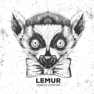 Hipster hayvan lemur. El hayvan lemur namlu çizimi