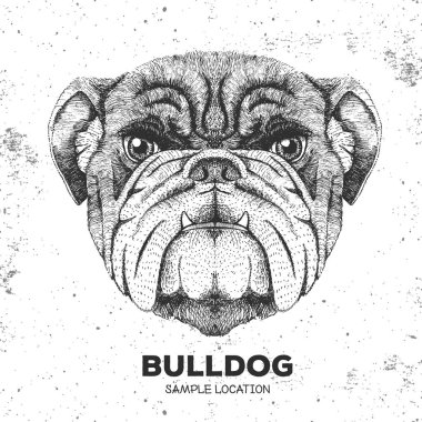 Hipster hayvan bulldog. El hayvan köpek namlu çizimi