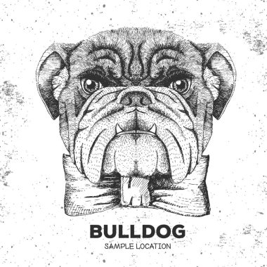 Hipster hayvan bulldog. El hayvan köpek namlu çizimi
