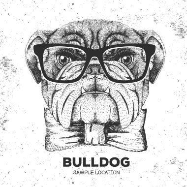 Hipster hayvan bulldog. El hayvan köpek namlu çizimi