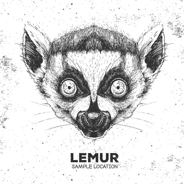 Hipster animal lemur. Hand drawing Muzzle of animal  lemur — Stock Vector