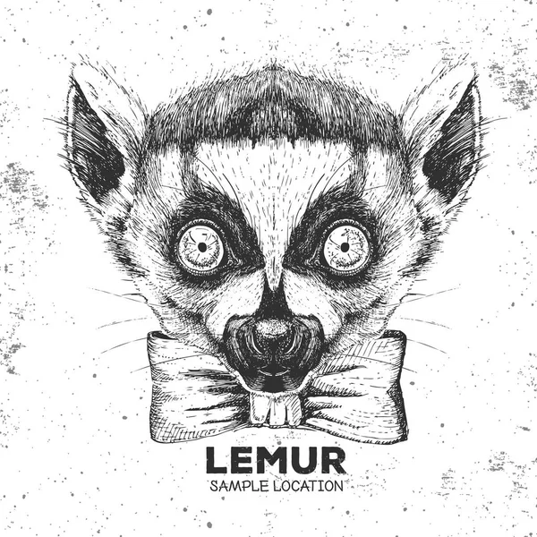Hipster hayvan lemur. El hayvan lemur namlu çizimi