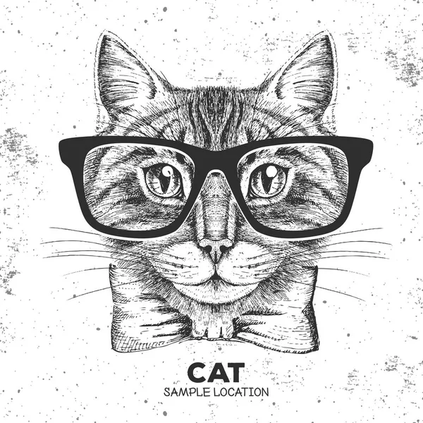 Gatto animale hipster. Mano disegno Muso di gatto animale — Vettoriale Stock