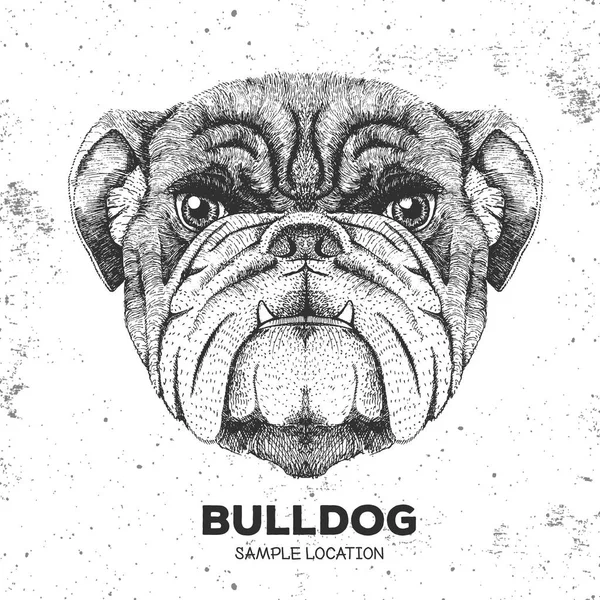 Hipster hayvan bulldog. El hayvan köpek namlu çizimi