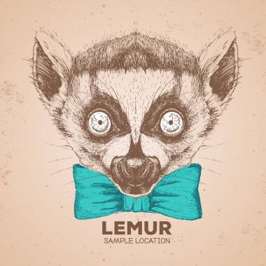 Hipster hayvan lemur. El hayvan lemur namlu çizimi