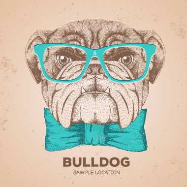 Hipster hayvan bulldog. El hayvan köpek namlu çizimi