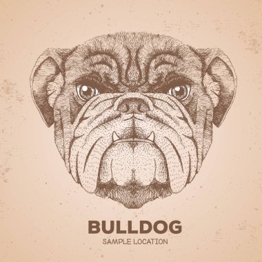 Hipster hayvan bulldog. El hayvan köpek namlu çizimi