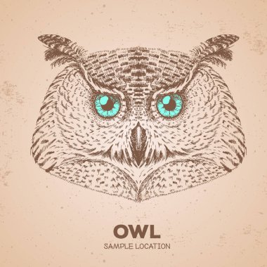 Hipster kuş baykuş. El kuş baykuş namlu çizimi