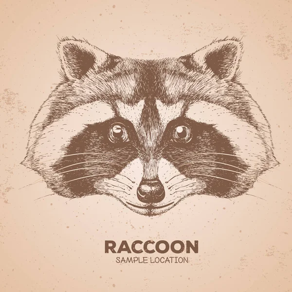 Hipster animal raccoon. Hand drawing Muzzle of animal  raccoon — Stock Vector