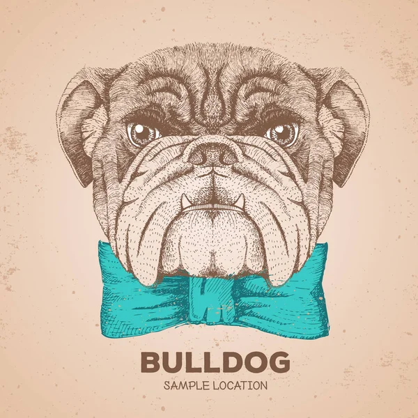 Hipster hayvan bulldog. El hayvan köpek namlu çizimi