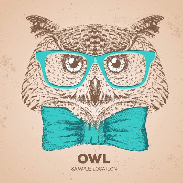 Hipster bird owl. Hand drawing Muzzle of bird owl — Stock Vector