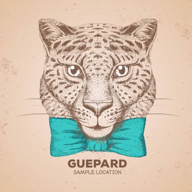 Hipster hayvan guepard. Guepard el çizim namlu