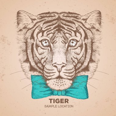 Hipster hayvan kaplan. El çizim namlu Tiger