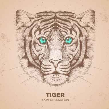 Hipster hayvan kaplan. El çizim namlu Tiger