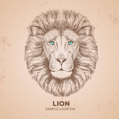 Retro Hipster hayvan aslan. Aslan el çizim namlu