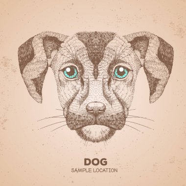 Hipster hayvan köpek. El çizim namlu köpek