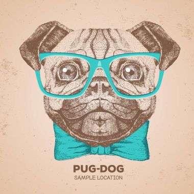 Retro Hipster hayvan pug-köpek. El pug köpek namlu çizimi