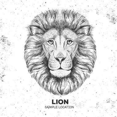Hipster hayvan aslan. Aslan el çizim namlu