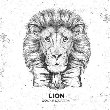 Hipster hayvan aslan. Aslan el çizim namlu