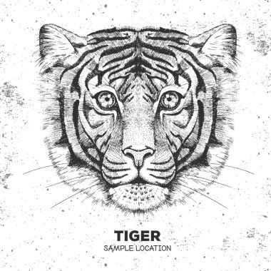 Hipster hayvan kaplan. El çizim namlu Tiger