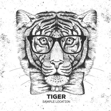 Hipster hayvan kaplan. El çizim namlu Tiger