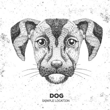 Hipster hayvan köpek. El çizim namlu köpek