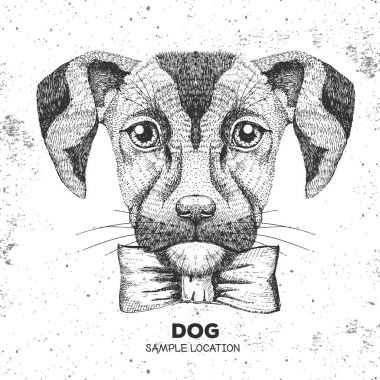 Hipster hayvan köpek. El çizim namlu köpek